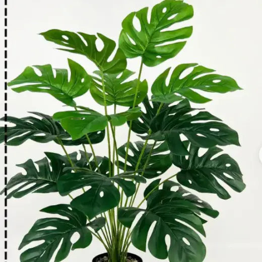 12-24  Back Of Turtle Artificial Plant