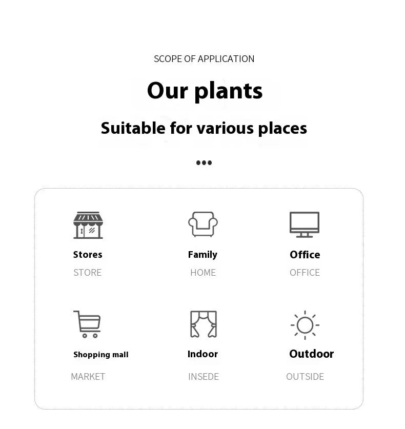 12-24  Back Of Turtle Artificial Plant